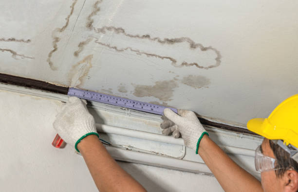 Reliable Mold Remediation contractor in Jasper, FL by Water Damage Irwin